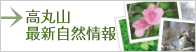 �㏟ ���ێR�@�ŐV�����񂶂傤�ق�