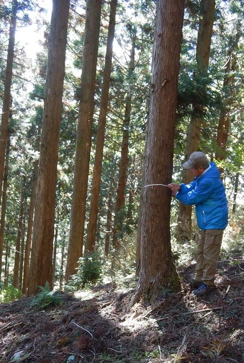 自然遷移観察区